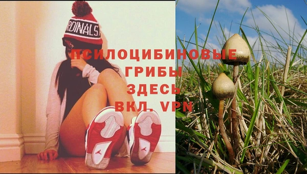 мяу мяу мука Алексин