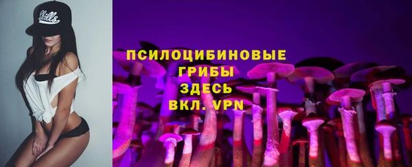 твердый Алексеевка