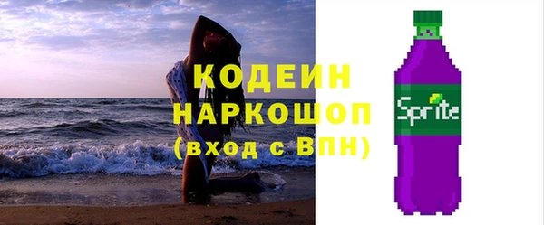 индика Переславль-Залесский