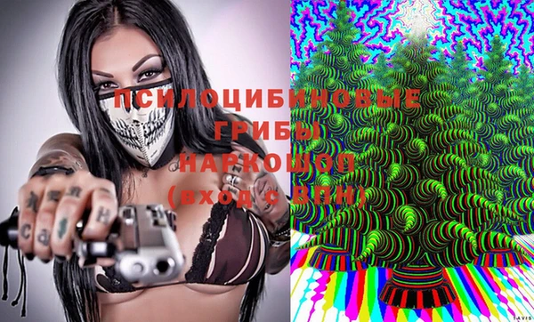 твердый Алексеевка