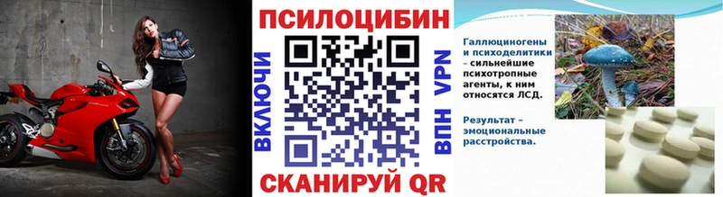 Псилоцибиновые грибы Psilocybine cubensis дарнет шоп Киреевск